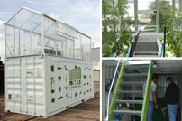 courtibox jardin en entreprise teambuilding