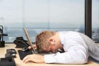 organisation de teambuilding