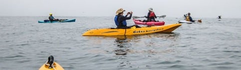 Canoe kayak e