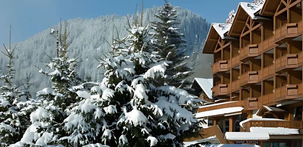 HOTEL-CARLINA