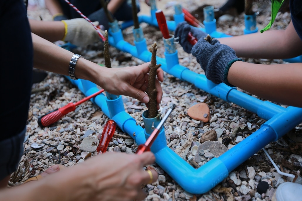 teambuilding-ecologique