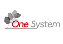 one system logo